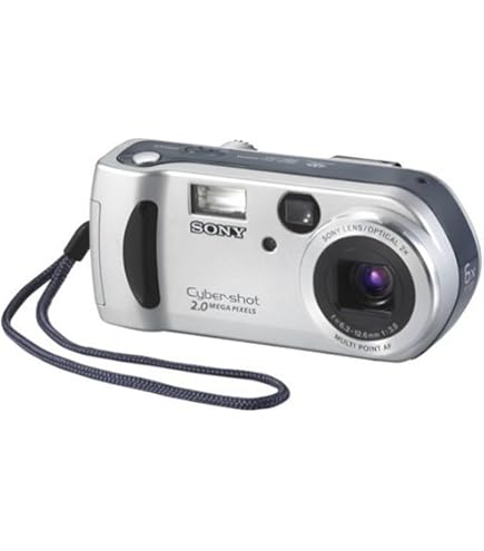 Amazon.com : Sony Cyber-Shot DSC-W530 14.1 MP Digital Camera with
